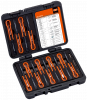 BELTRP16